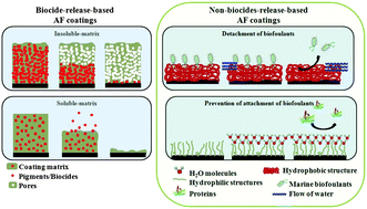 Graphical abstract: Non-toxic, non-biocide-release antifouling coatings based on molecular structure design for marine applications