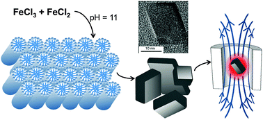 Graphical abstract: Aqueous synthesis of polyhedral “brick-like” iron oxide nanoparticles for hyperthermia and T2 MRI contrast enhancement