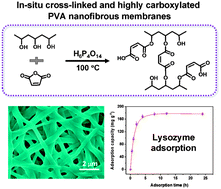 Graphical abstract: In situ cross-linked and highly carboxylated poly(vinyl alcohol) nanofibrous membranes for efficient adsorption of proteins