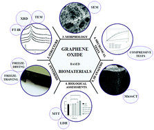 Graphical abstract: Gelatin–poly(vinyl alcohol) porous biocomposites reinforced with graphene oxide as biomaterials