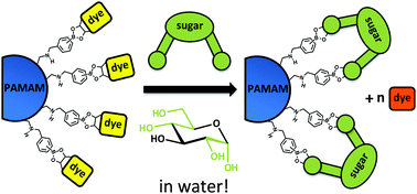 Graphical abstract: Boronic acid-modified poly(amidoamine) dendrimers as sugar-sensing materials in water