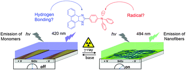 Graphical abstract: γ radiation induced self-assembly of fluorescent molecules into nanofibers: a stimuli-responsive sensing
