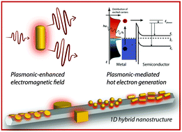 Graphical abstract: Metal nanoparticle–semiconductor nanowire hybrid nanostructures for plasmon-enhanced optoelectronics and sensing
