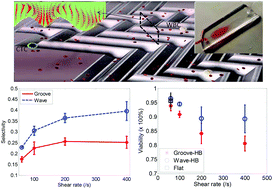 Graphical abstract: Highly efficient and selective isolation of rare tumor cells using a microfluidic chip with wavy-herringbone micro-patterned surfaces