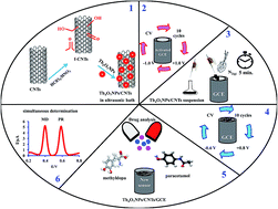 Graphical abstract: A novel modified electrode based on terbium oxide and carbon nanotubes for the simultaneous determination of methyldopa and paracetamol