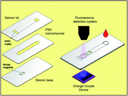 Graphical abstract: A fully integrated microfluidic device for point of care monitoring of antithrombotics