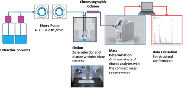 Graphical abstract: A diagnostic test for cocaine and benzoylecgonine in urine and oral fluid using portable mass spectrometry