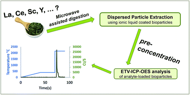 Graphical abstract: Bioparticles coated with an ionic liquid for the pre-concentration of rare earth elements from microwave-digested tea samples and the subsequent quantification by ETV-ICP-OES