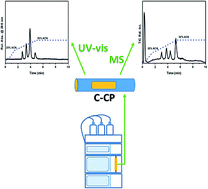 Graphical abstract: Coupling of capillary-channeled polymer (C-CP) fibers for reversed phase liquid chromatography and ESI-MS for the determination of proteins in a urine matrix
