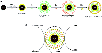 Graphical abstract: Development of sensitive and selective glucose colorimetric assay using glucose oxidase immobilized on magnetite–gold–folate nanoparticles