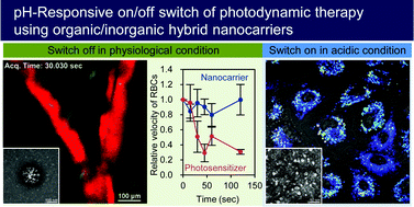 Graphical abstract: Calcium phosphate-based organic–inorganic hybrid nanocarriers with pH-responsive on/off switch for photodynamic therapy