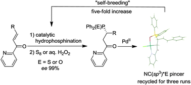 Graphical abstract: The synthesis and efficient one-pot catalytic “self-breeding” of asymmetrical NC(sp3)E-hybridised pincer complexes