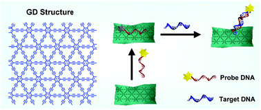 Graphical abstract: Graphdiyne oxide as a platform for fluorescence sensing
