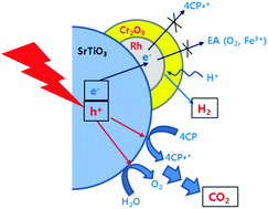 Graphical abstract: Selective dual-purpose photocatalysis for simultaneous H2 evolution and mineralization of organic compounds enabled by a Cr2O3 barrier layer coated on Rh/SrTiO3