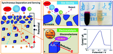 Graphical abstract: A novel membrane with heterogeneously functionalized nanocrystal layers performing blood separation and sensing synchronously