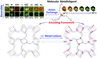 Graphical abstract: A lanthanide complex for metal encapsulations and anion exchanges