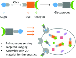 C6CC06875H Graphical Abstract, Fluorescent glycoprobes: a sweet addition for improved sensing, Xie et al.