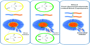 Graphical abstract: Redox tunable delivery systems: sweet block copolymer micelles via thiol–(bromo)maleimide conjugation