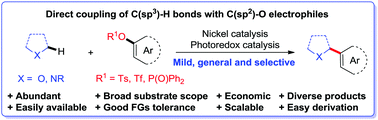 Graphical abstract: Coupling of C(sp3)–H bonds with C(sp2)–O electrophiles: mild, general and selective
