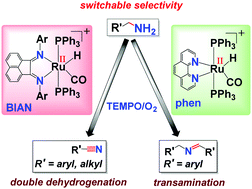 Graphical abstract: Ligand controlled switchable selectivity in ruthenium catalyzed aerobic oxidation of primary amines