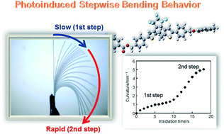 Graphical abstract: Photoinduced stepwise bending behavior of photochromic diarylethene crystals