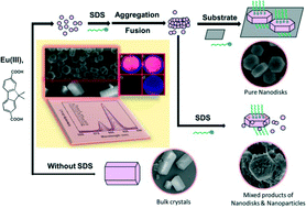 Graphical abstract: Shape uniformity control of metal–organic framework nanodisks via surfactant and substrate synergetic scissoring effects and their fluorescence sensing properties