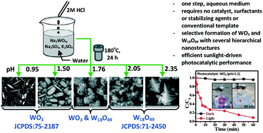 Graphical abstract: Selective synthesis of WO3 and W18O49 nanostructures: ligand-free pH-dependent morphology-controlled self-assembly of hierarchical architectures from 1D nanostructure and sunlight-driven photocatalytic degradation