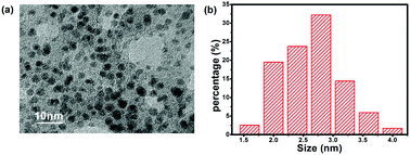 Graphical abstract: Electrochemical synthesis of phosphorus-doped graphene quantum dots for free radical scavenging