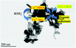 Graphical abstract: Co2SnO4 nanoparticles as a high performance catalyst for oxidative degradation of rhodamine B dye and pentachlorophenol by activation of peroxymonosulfate