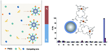 Graphical abstract: Novel polyazamacrocyclic receptor decorated core–shell superparamagnetic microspheres for selective binding and magnetic enrichment of palladium: synthesis, adsorptive behavior and coordination mechanism