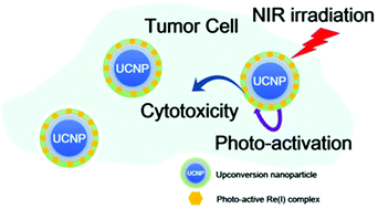 Graphical abstract: Near infrared light-mediated photoactivation of cytotoxic Re(i) complexes by using lanthanide-doped upconversion nanoparticles