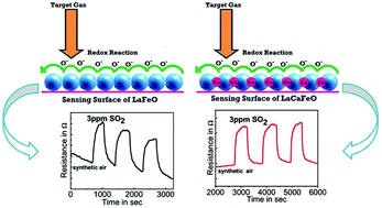 Graphical abstract: Investigation of Ca substitution on the gas sensing potential of LaFeO3 nanoparticles towards low concentration SO2 gas