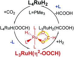 Graphical abstract: A comparative study on the CO2 hydrogenation catalyzed by Ru dihydride complexes: (PMe3)4RuH2 and (Me2PCH2CH2PMe2)2RuH2