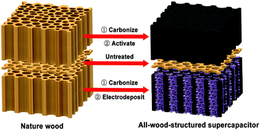 Graphical abstract: All-wood, low tortuosity, aqueous, biodegradable supercapacitors with ultra-high capacitance