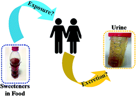 Graphical abstract: Occurrence of artificial sweeteners in human liver and paired blood and urine samples from adults in Tianjin, China and their implications for human exposure