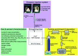 Graphical abstract: Wood combustion particles induce adverse effects to normal and diseased airway epithelia