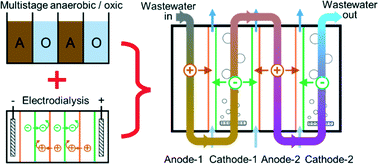 Graphical abstract: A novel multi-stage microbial desalination cell for simultaneous desalination and enhanced organics and nitrogen removal from domestic wastewater