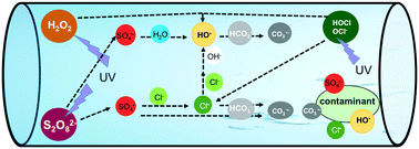 Graphical abstract: A mechanistic understanding of the degradation of trace organic contaminants by UV/hydrogen peroxide, UV/persulfate and UV/free chlorine for water reuse