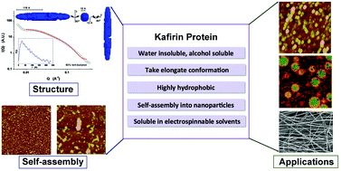 Graphical abstract: Physicochemical properties of kafirin protein and its applications as building blocks of functional delivery systems