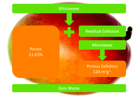 Graphical abstract: Acid-free microwave-assisted hydrothermal extraction of pectin and porous cellulose from mango peel waste – towards a zero waste mango biorefinery
