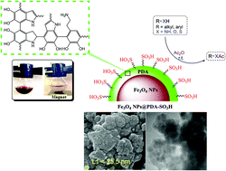 Graphical abstract: Preparation of polydopamine sulfamic acid-functionalized magnetic Fe3O4 nanoparticles with a core/shell nanostructure as heterogeneous and recyclable nanocatalysts for the acetylation of alcohols, phenols, amines and thiols under solvent-free conditions