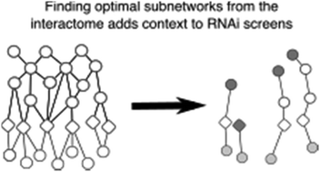 Graphical abstract: Pathway-based network modeling finds hidden genes in shRNA screen for regulators of acute lymphoblastic leukemia
