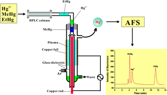 Graphical abstract: The online coupling of high performance liquid chromatography with atomic fluorescence spectrometry based on dielectric barrier discharge induced chemical vapor generation for the speciation of mercury