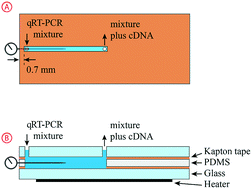 Graphical abstract: Lab-on-a-chip mRNA purification and reverse transcription via a solid-phase gene extraction technique