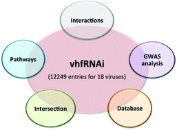 Graphical abstract: vhfRNAi: a web-platform for analysis of host genes involved in viral infections discovered by genome wide RNAi screens