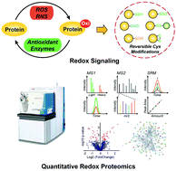 Graphical abstract: Quantitative proteomic characterization of redox-dependent post-translational modifications on protein cysteines