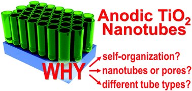 Graphical abstract: Aligned metal oxide nanotube arrays: key-aspects of anodic TiO2 nanotube formation and properties
