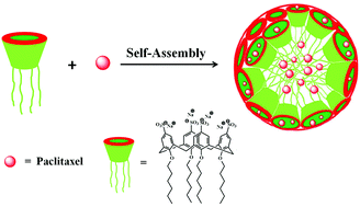 Graphical abstract: Supramolecular nanocapsules from the self-assembly of amphiphilic calixarene as a carrier for paclitaxel