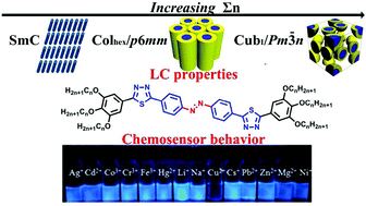 Graphical abstract: Synthesis and self-assembly of photoresponsive and luminescent polycatenar liquid crystals incorporating an azobenzene unit interconnecting two 1,3,4-thiadiazoles