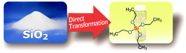 Graphical abstract: Direct synthesis of tetraalkoxysilanes from silica and alcohols